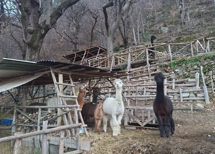 Apartmán Casa Degli Alpaca